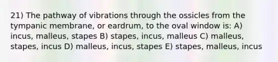 21) The pathway of vibrations through the ossicles from the tympanic membrane, or eardrum, to the oval window is: A) incus, malleus, stapes B) stapes, incus, malleus C) malleus, stapes, incus D) malleus, incus, stapes E) stapes, malleus, incus