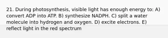 21. During photosynthesis, visible light has enough energy to: A) convert ADP into ATP. B) synthesize NADPH. C) split a water molecule into hydrogen and oxygen. D) excite electrons. E) reflect light in the red spectrum