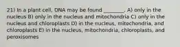 21) In a plant cell, DNA may be found ________. A) only in the nucleus B) only in the nucleus and mitochondria C) only in the nucleus and chloroplasts D) in the nucleus, mitochondria, and chloroplasts E) in the nucleus, mitochondria, chloroplasts, and peroxisomes