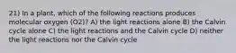 21) In a plant, which of the following reactions produces molecular oxygen (O2)? A) the light reactions alone B) the Calvin cycle alone C) the light reactions and the Calvin cycle D) neither the light reactions nor the Calvin cycle