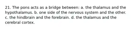 21. The pons acts as a bridge between: a. the thalamus and the hypothalamus. b. one side of the nervous system and the other. c. the hindbrain and the forebrain. d. the thalamus and the cerebral cortex.