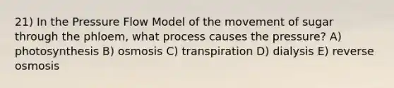 21) In the Pressure Flow Model of the movement of sugar through the phloem, what process causes the pressure? A) photosynthesis B) osmosis C) transpiration D) dialysis E) reverse osmosis