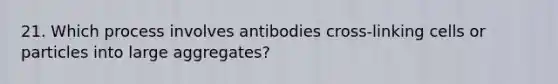 21. Which process involves antibodies cross-linking cells or particles into large aggregates?