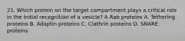 21. Which protein on the target compartment plays a critical role in the initial recognition of a vesicle? A Rab proteins A. Tethering proteins B. Adaptin proteins C. Clathrin proteins D. SNARE proteins