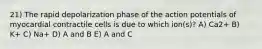 21) The rapid depolarization phase of the action potentials of myocardial contractile cells is due to which ion(s)? A) Ca2+ B) K+ C) Na+ D) A and B E) A and C