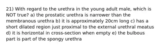 21) With regard to the urethra in the young adult male, which is NOT true? a) the prostatic urethra is narrower than the membranous urethra b) it is approximately 20cm long c) has a short dilated region just proximal to the external urethral meatus d) it is horizontal in cross-section when empty e) the bulbous part is part of the spongy urethra