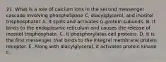 21. What is a role of calcium ions in the second messenger cascade involving phospholipase C, diacylglycerol, and inositol trisphosphate? A. It splits and activates G-protein subunits. B. It binds to the endoplasmic reticulum and causes the release of inositol trisphosphate. C. It phosphorylates cell proteins. D. It is the first messenger that binds to the integral membrane protein receptor. E. Along with diacylglycerol, it activates protein kinase C.