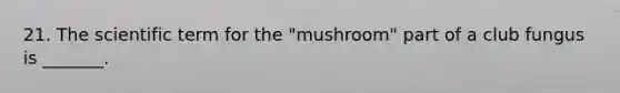 21. The scientific term for the "mushroom" part of a club fungus is _______.