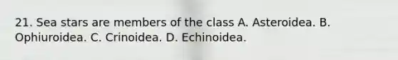 21. Sea stars are members of the class A. Asteroidea. B. Ophiuroidea. C. Crinoidea. D. Echinoidea.