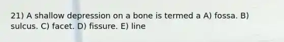 21) A shallow depression on a bone is termed a A) fossa. B) sulcus. C) facet. D) fissure. E) line