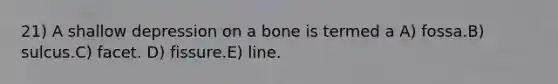 21) A shallow depression on a bone is termed a A) fossa.B) sulcus.C) facet. D) fissure.E) line.