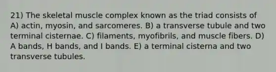 21) The skeletal muscle complex known as the triad consists of A) actin, myosin, and sarcomeres. B) a transverse tubule and two terminal cisternae. C) filaments, myofibrils, and muscle fibers. D) A bands, H bands, and I bands. E) a terminal cisterna and two transverse tubules.