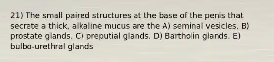 21) The small paired structures at the base of the penis that secrete a thick, alkaline mucus are the A) seminal vesicles. B) prostate glands. C) preputial glands. D) Bartholin glands. E) bulbo-urethral glands