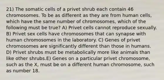 21) The somatic cells of a privet shrub each contain 46 chromosomes. To be as different as they are from human cells, which have the same number of chromosomes, which of the following must be true? A) Privet cells cannot reproduce sexually. B) Privet sex cells have chromosomes that can synapse with human chromosomes in the laboratory. C) Genes of privet chromosomes are significantly different than those in humans. D) Privet shrubs must be metabolically more like animals than like other shrubs.E) Genes on a particular privet chromosome, such as the X, must be on a different human chromosome, such as number 18.