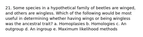 21. Some species in a hypothetical family of beetles are winged, and others are wingless. Which of the following would be most useful in determining whether having wings or being wingless was the ancestral trait? a. Homoplasies b. Homologies c. An outgroup d. An ingroup e. Maximum likelihood methods