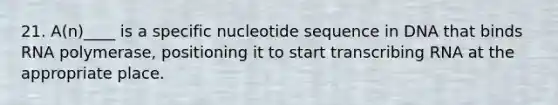 21. A(n)____ is a specific nucleotide sequence in DNA that binds RNA polymerase, positioning it to start transcribing RNA at the appropriate place.