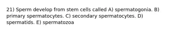 21) Sperm develop from stem cells called A) spermatogonia. B) primary spermatocytes. C) secondary spermatocytes. D) spermatids. E) spermatozoa