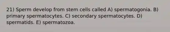 21) Sperm develop from stem cells called A) spermatogonia. B) primary spermatocytes. C) secondary spermatocytes. D) spermatids. E) spermatozoa.