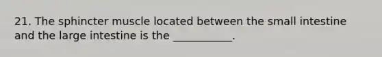 21. The sphincter muscle located between <a href='https://www.questionai.com/knowledge/kt623fh5xn-the-small-intestine' class='anchor-knowledge'>the small intestine</a> and the <a href='https://www.questionai.com/knowledge/kGQjby07OK-large-intestine' class='anchor-knowledge'>large intestine</a> is the ___________.