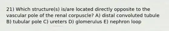 21) Which structure(s) is/are located directly opposite to the vascular pole of the renal corpuscle? A) distal convoluted tubule B) tubular pole C) ureters D) glomerulus E) nephron loop