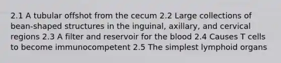 2.1 A tubular offshot from the cecum 2.2 Large collections of bean-shaped structures in the inguinal, axillary, and cervical regions 2.3 A filter and reservoir for the blood 2.4 Causes T cells to become immunocompetent 2.5 The simplest lymphoid organs