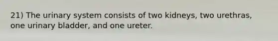 21) The urinary system consists of two kidneys, two urethras, one urinary bladder, and one ureter.