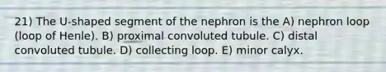 21) The U-shaped segment of the nephron is the A) nephron loop (loop of Henle). B) proximal convoluted tubule. C) distal convoluted tubule. D) collecting loop. E) minor calyx.