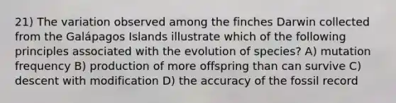 21) The variation observed among the finches Darwin collected from the Galápagos Islands illustrate which of the following principles associated with the evolution of species? A) mutation frequency B) production of more offspring than can survive C) descent with modification D) the accuracy of the fossil record