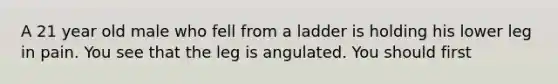 A 21 year old male who fell from a ladder is holding his lower leg in pain. You see that the leg is angulated. You should first