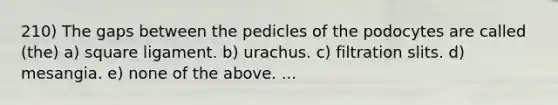 210) The gaps between the pedicles of the podocytes are called (the) a) square ligament. b) urachus. c) filtration slits. d) mesangia. e) none of the above. ...