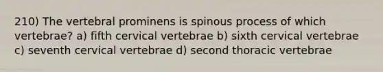 210) The vertebral prominens is spinous process of which vertebrae? a) fifth cervical vertebrae b) sixth cervical vertebrae c) seventh cervical vertebrae d) second thoracic vertebrae