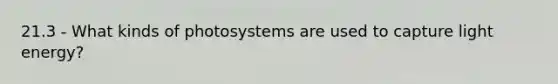 21.3 - What kinds of photosystems are used to capture light energy?