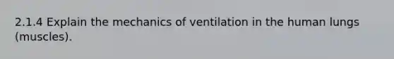 2.1.4 Explain the mechanics of ventilation in the human lungs (muscles).