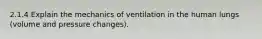 2.1.4 Explain the mechanics of ventilation in the human lungs (volume and pressure changes).