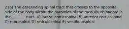 216) The descending spinal tract that crosses to the opposite side of the body within the pyramids of the medulla oblongata is the _______ tract. A) lateral corticospinal B) anterior corticospinal C) rubrospinal D) reticulospinal E) vestibulospinal