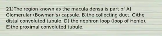 21)The region known as the macula densa is part of A) Glomerular (Bowman's) capsule. B)the collecting duct. C)the distal convoluted tubule. D) the nephron loop (loop of Henle). E)the proximal convoluted tubule.