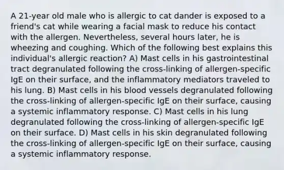 A 21-year old male who is allergic to cat dander is exposed to a friend's cat while wearing a facial mask to reduce his contact with the allergen. Nevertheless, several hours later, he is wheezing and coughing. Which of the following best explains this individual's allergic reaction? A) Mast cells in his gastrointestinal tract degranulated following the cross-linking of allergen-specific IgE on their surface, and the inflammatory mediators traveled to his lung. B) Mast cells in his blood vessels degranulated following the cross-linking of allergen-specific IgE on their surface, causing a systemic inflammatory response. C) Mast cells in his lung degranulated following the cross-linking of allergen-specific IgE on their surface. D) Mast cells in his skin degranulated following the cross-linking of allergen-specific IgE on their surface, causing a systemic inflammatory response.