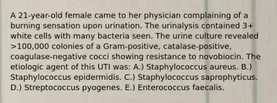 A 21-year-old female came to her physician complaining of a burning sensation upon urination. The urinalysis contained 3+ white cells with many bacteria seen. The urine culture revealed >100,000 colonies of a Gram-positive, catalase-positive, coagulase-negative cocci showing resistance to novobiocin. The etiologic agent of this UTI was: A.) Staphylococcus aureus. B.) Staphylococcus epidermidis. C.) Staphylococcus saprophyticus. D.) Streptococcus pyogenes. E.) Enterococcus faecalis.