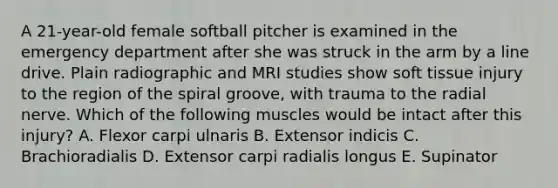 A 21-year-old female softball pitcher is examined in the emergency department after she was struck in the arm by a line drive. Plain radiographic and MRI studies show soft tissue injury to the region of the spiral groove, with trauma to the radial nerve. Which of the following muscles would be intact after this injury? A. Flexor carpi ulnaris B. Extensor indicis C. Brachioradialis D. Extensor carpi radialis longus E. Supinator