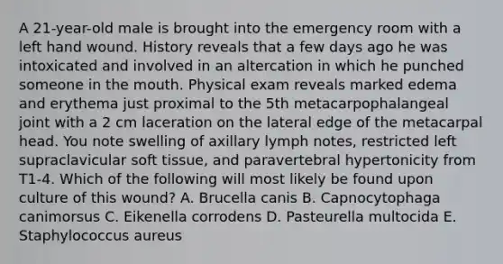 A 21-year-old male is brought into the emergency room with a left hand wound. History reveals that a few days ago he was intoxicated and involved in an altercation in which he punched someone in the mouth. Physical exam reveals marked edema and erythema just proximal to the 5th metacarpophalangeal joint with a 2 cm laceration on the lateral edge of the metacarpal head. You note swelling of axillary lymph notes, restricted left supraclavicular soft tissue, and paravertebral hypertonicity from T1-4. Which of the following will most likely be found upon culture of this wound? A. Brucella canis B. Capnocytophaga canimorsus C. Eikenella corrodens D. Pasteurella multocida E. Staphylococcus aureus