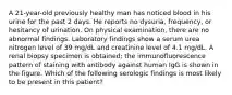 A 21-year-old previously healthy man has noticed blood in his urine for the past 2 days. He reports no dysuria, frequency, or hesitancy of urination. On physical examination, there are no abnormal findings. Laboratory findings show a serum urea nitrogen level of 39 mg/dL and creatinine level of 4.1 mg/dL. A renal biopsy specimen is obtained; the immunofluorescence pattern of staining with antibody against human IgG is shown in the figure. Which of the following serologic findings is most likely to be present in this patient?