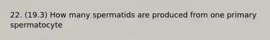 22. (19.3) How many spermatids are produced from one primary spermatocyte