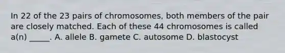 In 22 of the 23 pairs of chromosomes, both members of the pair are closely matched. Each of these 44 chromosomes is called a(n) _____. A. allele B. gamete C. autosome D. blastocyst