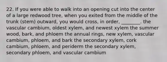 22. If you were able to walk into an opening cut into the center of a large redwood tree, when you exited from the middle of the trunk (stem) outward, you would cross, in order, ________. the vascular cambium, oldest xylem, and newest xylem the summer wood, bark, and phloem the annual rings, new xylem, vascular cambium, phloem, and bark the secondary xylem, cork cambium, phloem, and periderm the secondary xylem, secondary phloem, and vascular cambium