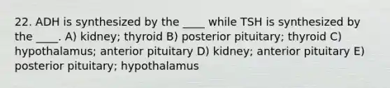 22. ADH is synthesized by the ____ while TSH is synthesized by the ____. A) kidney; thyroid B) posterior pituitary; thyroid C) hypothalamus; anterior pituitary D) kidney; anterior pituitary E) posterior pituitary; hypothalamus