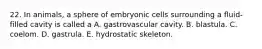 22. In animals, a sphere of embryonic cells surrounding a fluid-filled cavity is called a A. gastrovascular cavity. B. blastula. C. coelom. D. gastrula. E. hydrostatic skeleton.