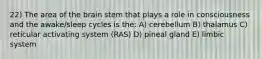 22) The area of the brain stem that plays a role in consciousness and the awake/sleep cycles is the: A) cerebellum B) thalamus C) reticular activating system (RAS) D) pineal gland E) limbic system