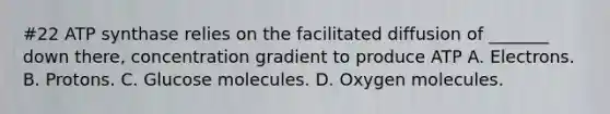 #22 ATP synthase relies on the facilitated diffusion of _______ down there, concentration gradient to produce ATP A. Electrons. B. Protons. C. Glucose molecules. D. Oxygen molecules.