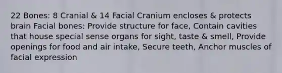 22 Bones: 8 Cranial & 14 Facial Cranium encloses & protects brain Facial bones: Provide structure for face, Contain cavities that house special sense organs for sight, taste & smell, Provide openings for food and air intake, Secure teeth, Anchor muscles of facial expression