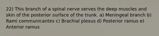 22) This branch of a spinal nerve serves the deep muscles and skin of the posterior surface of the trunk. a) Meningeal branch b) Rami communicantes c) Brachial plexus d) Posterior ramus e) Anterior ramus